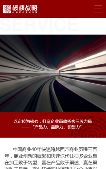 核桃战略案例图片3