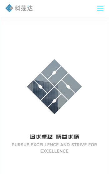 科蓬达案例图片3